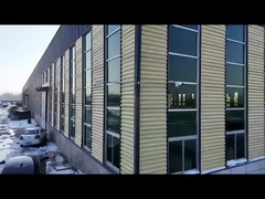 Fábrica de carros de golf ACE